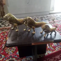 شیربرنز