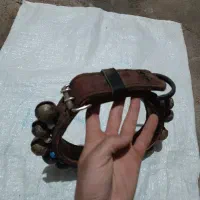 قورچه تسمه چرمی درجه یک