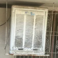 کولرابی