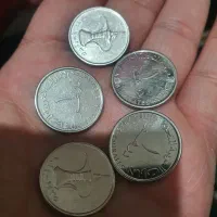 سکه درهم امارات