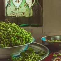 محصولات و مواد غذایی خانگی و سالم