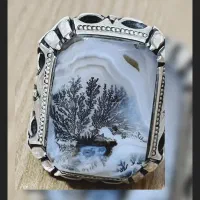 شجر بی نظیر