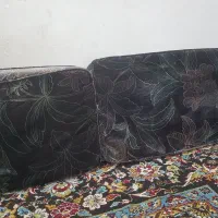 پشتی خلیج اصل