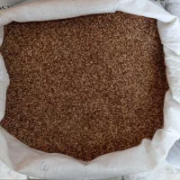 کنجدبرای نانوایی وروغنگیری موجوداست