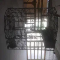 قفس سهره