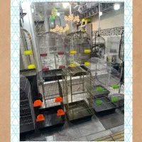 با قفس ۴ لیوانیِ جادار*دیگر نگران جای پرنده نباشید
