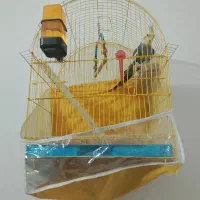واگزاری پرنده شما