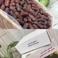 فروش خرما پیارم صادراتی حاجی آباد هرمزگان