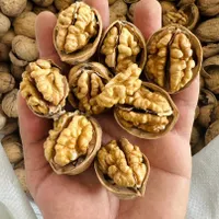 گردو‌/مغزگردو/مغز/خشکبار|خوردنی و آشامیدنی|تهران, اباذر|دیوار