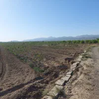 بینالود-آب-چاه-عمیق-باغ-پسته
