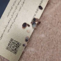 سمپاشی با ضمانت کتبی