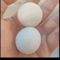 سنگ اسیاب