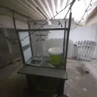 چرخ سمبوسه