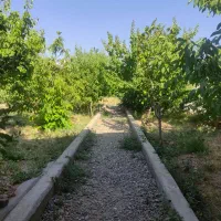 خونه-باغ-ویلایی-لب-جاده