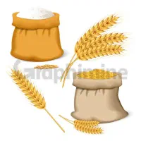 2 عدد آرد تازه