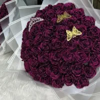 روبینا گالری