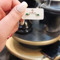 گوشواره میخی طلا پیرسینگ رنگی زیر گرم
