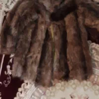پالتو  پوست اصل