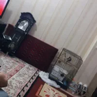 پشتی ترکمن دو عدد