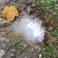 500 متر زمین / هلدینگ آتیه/ روستای برار