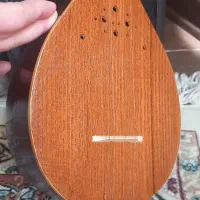 سه تار ذوالقدر نو