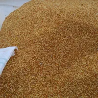 فروش گرده گل
