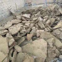 کود گوسفندی پوسیده