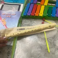 بلز فلوت برند