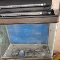 آکواریوم دلسا