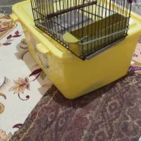 قفس سهره