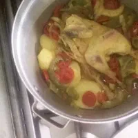 مرغ تخم گذار سفید