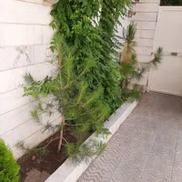 آپارتمان ۹۰متری ۲خواب تک واحدی میدان۲۲|فروش آپارتمان|تهران, مدائن|دیوار