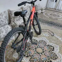 دوچرخه ویوا اصل  تایوان در حد نو ۲۴ دنده