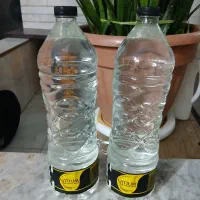 عرق نعنا