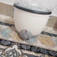 پلو پز اتوماتیک مدل 181 تیان