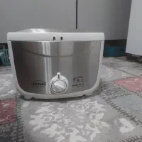 مینی سرخ کن اقتصادی