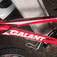 دوچرخه  مارک GALANT