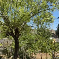 خونه-ویلایی-500-متری-نمیر-رودهن