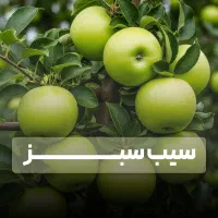 فروش نهال پربازده ارسال فوری قبل از اتمام موجودی