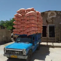 کاه گندم سفید