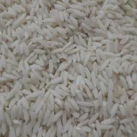 برنج محلی دورود