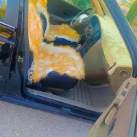 خز پشمی