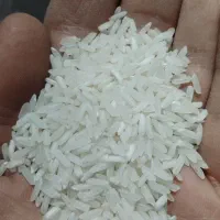 برنج دانه کامل پاکستانی