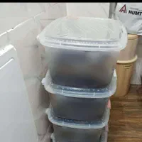 پاره وقت پرورش کاردرمنزل شغل کار در منزل حلزون