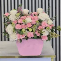باکس صورتی جذاب کد ۱۴۶۳ گلاریس