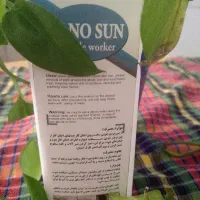 شوینده چربی قوی
