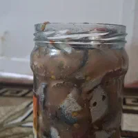 سور|ماهی|بندر کنگان, |دیوار