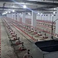 سلام به همه دوستان