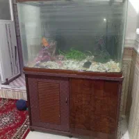 آکواریم بزرگ با قیمت مناسب