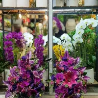 ارکیده،آنتریوم استند گل،باکس گل،جام گل